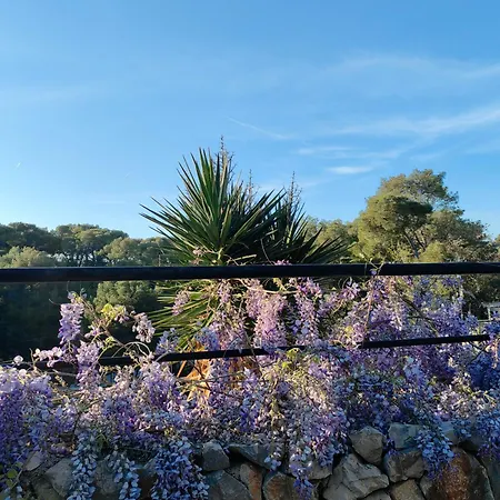 Campsite Mobile Tonka Biograd Na Moru